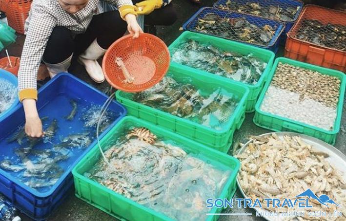 Chợ hải sản Đà Nẵng bán các loại hải sản gì?