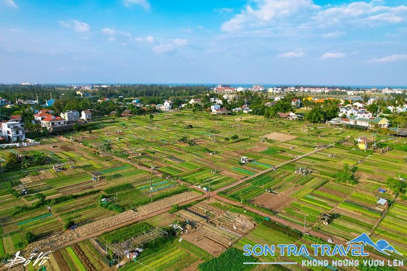 Xưa kia, làng Trà Quế, Hội An, Quảng Nam vốn gắn bó với nghề nuôi trồng, đánh bắt thủy sản