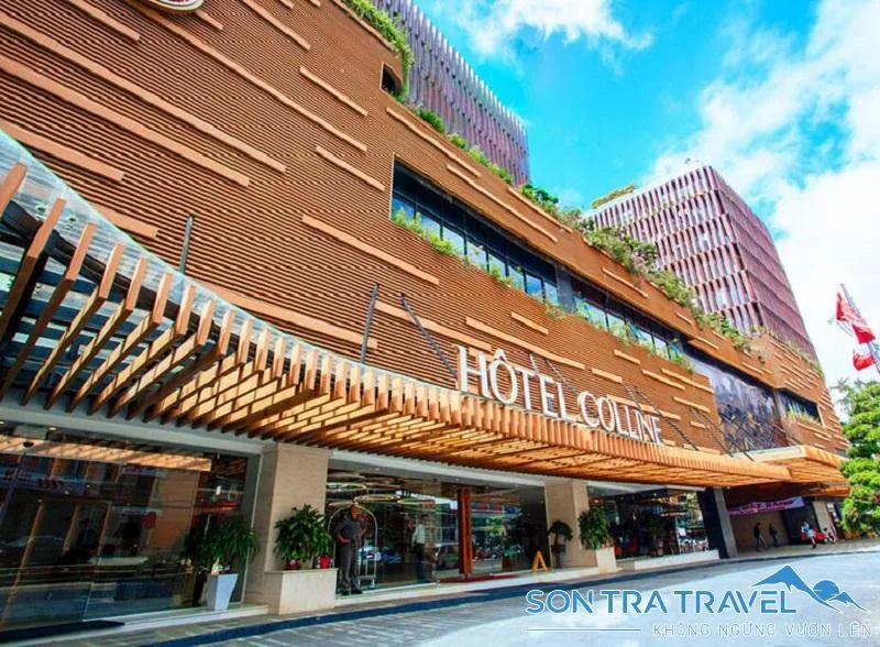 Cây thông cô đơn Đà Lạt – Địa điểm check-in không bao giờ hết HOT Hottel Colline Đà Lạt